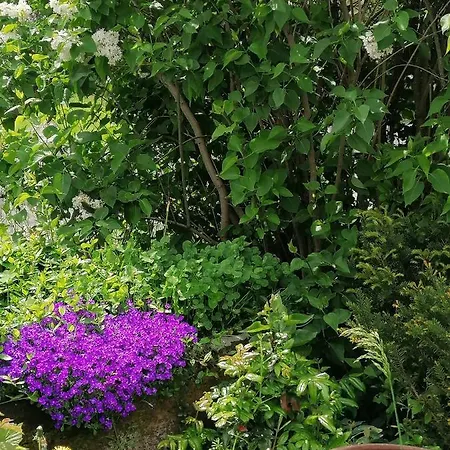 Auf Der Hoehe Holiday home *