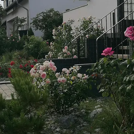 Monteurhaus Gp Holiday home *